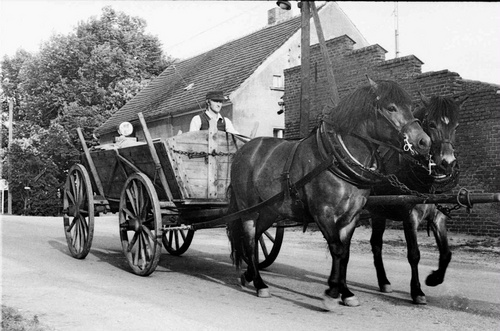 Dorffest 500 Jahre Mulknitz 1987