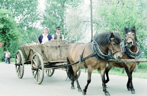 Dorffest 500 Jahre Mulknitz 1987