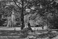 Alter Stadtpark mit Sängereiche und Fontaine um 1930 (Stein und Fontainenbecken noch vorhanden)